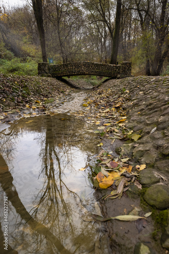 autumn in the forest