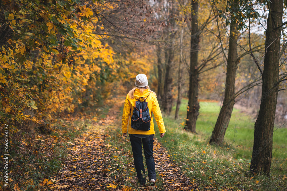 Autumn hike. Woman wearing yellow jacket and backpack hiking along a trail in alley at fall season. 