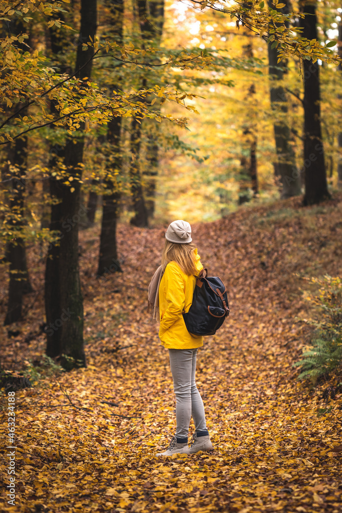 Hike in autumn forest. Tourist woman with backpack walking in woodland footpath at fall season Hike in autumn forest. Tourist woman with backpack walking in woodland footpath at fall season