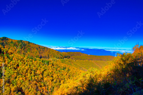 Autumn leaves of Yatsugatake and Asama Mountains in the sea area