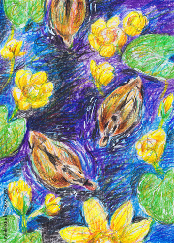 Nice painted ducks. Bright lake with yellow jugs top view. Handwork pattern with colored watercolor pencils. Illustration for children's book.