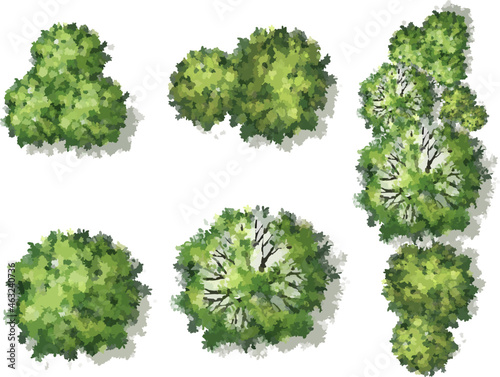 Vector of abstract watercolor tree top view isolated on white background for landscape plan and architecture layout drawing, elements for environment and garden