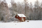 Old abandoned red shed by the forest in winter