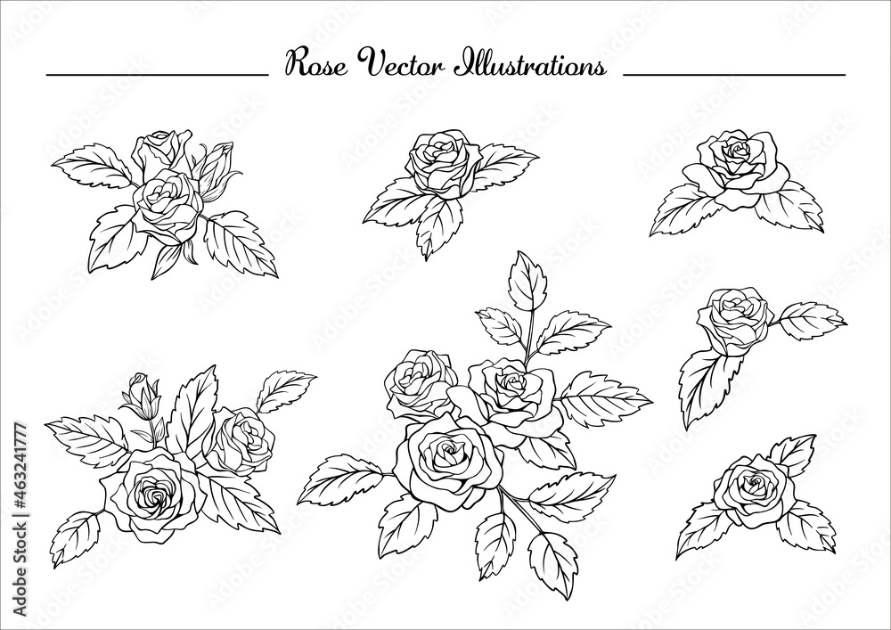 薔薇のイラスト素材 セット 線画 Stock ベクター Adobe Stock