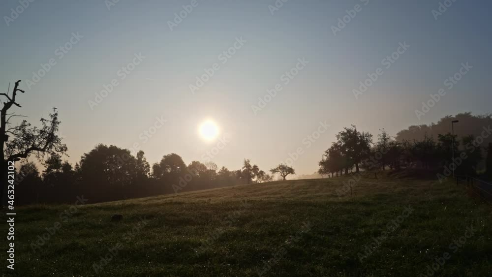 Rural scenic autumn landscape with trees, field ant airplane in the background. Movie shot October 16th, 2021, Zurich, Switzerland. Rural scenic autumn landscape with trees, field ant airplane in the background. Movie shot October 16th, 2021, Zurich, Switzerland.