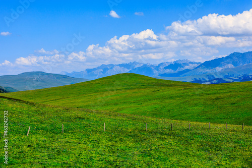 Green grass and mountain with blue sky background.Green grassland landscape in Xinjiang China.