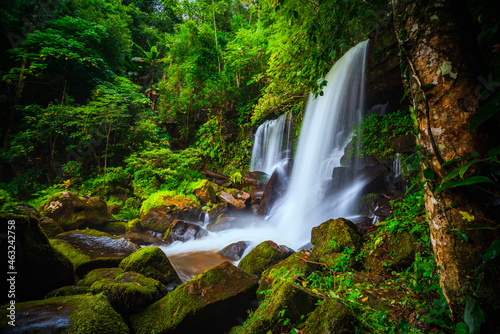 Fototapeta Naklejka Na Ścianę i Meble -  beautiful tropical rainforest waterfall in deep forest