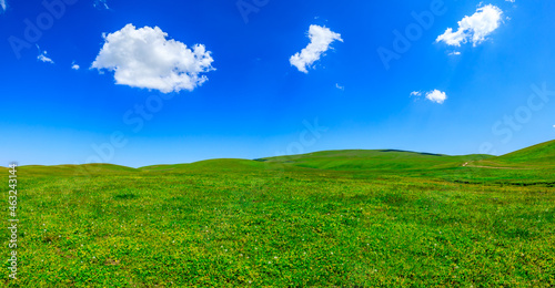 Green grass field with blue sky background.Green grassland landscape in Xinjiang,China.
