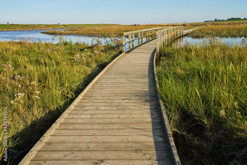 wooden walkway through the salt marshes at Langwarder Groden (Butjadingen, Germany) on a sunny day in early autumn wooden walkway through the salt marshes at Langwarder Groden (Butjadingen, Germany) on a sunny day in early autumn