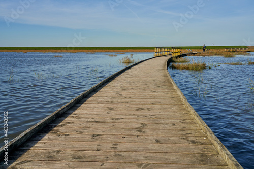 boardwalk at Langwarder Groden (Butjadingen, Germany) during high tide on a sunny day with blue sky