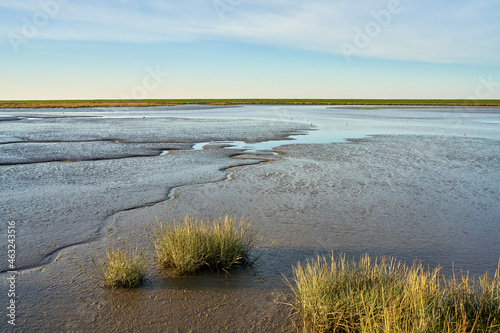 the mud flats at Langwarder Groden (Butjadingen, Germany) during low tide with vivid blue sky photo