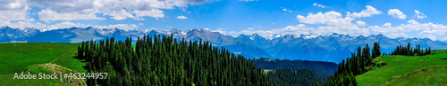 Green grass and forest natural scenery under blue sky.Green grassland landscape in Xinjiang,China. © ABCDstock
