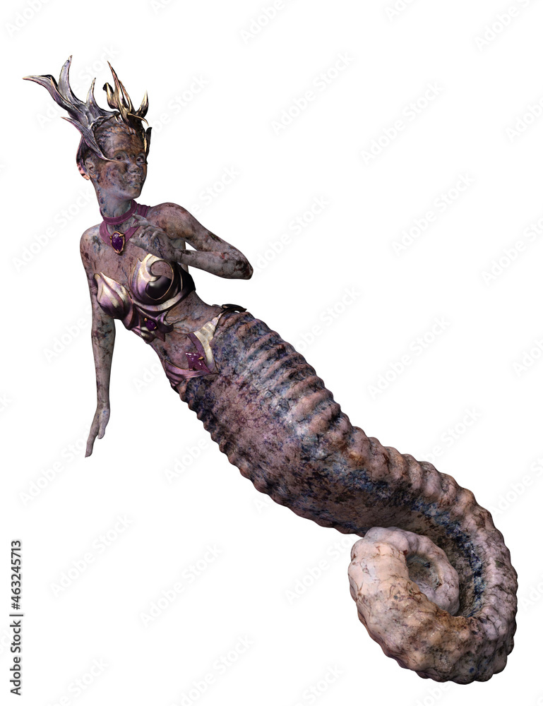 Fototapeta premium isolated seahorse female