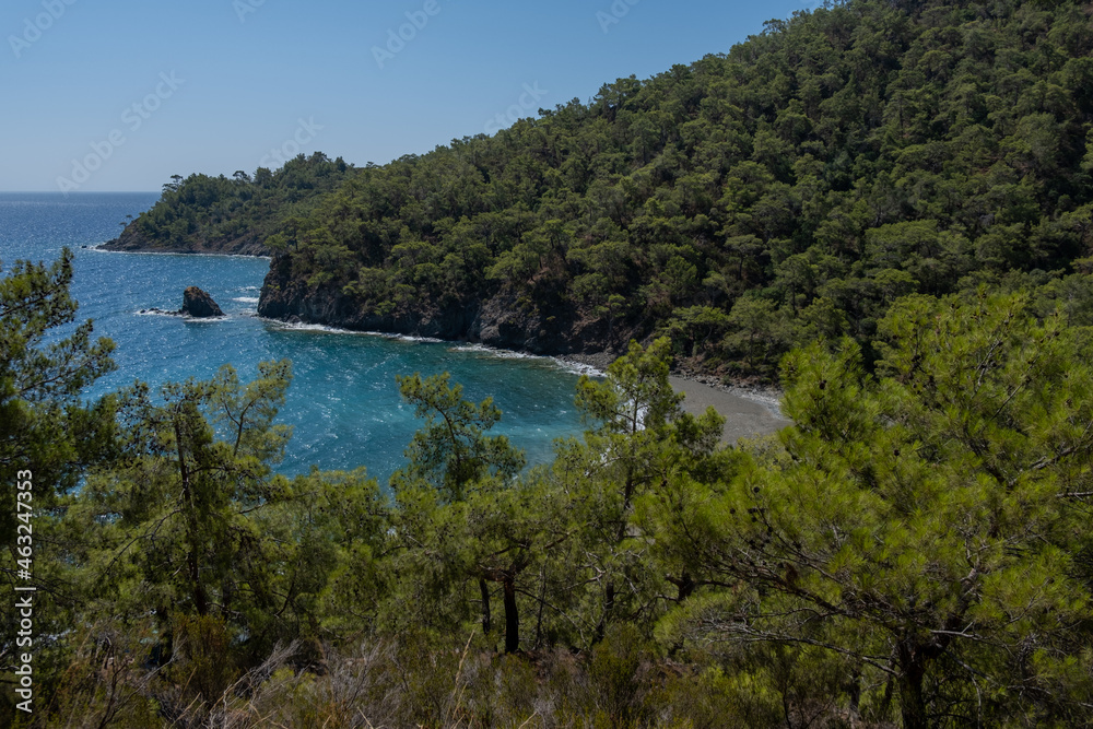 Fototapeta premium Beach