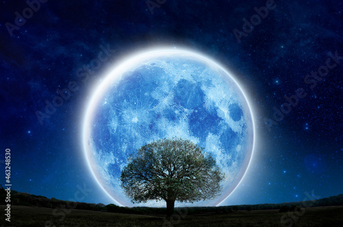 Super full moon with silhouette tree at night sky on mountain forest. Lone moon and tree show live alone, Halloween and save nature. Silhouette tree on green grass field with big blue moon in panorama