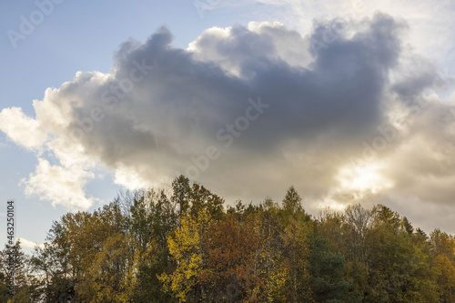 Gorgeous colorful fall landscape view. Yellow and trees on  cloudy sky background. Sweden. 