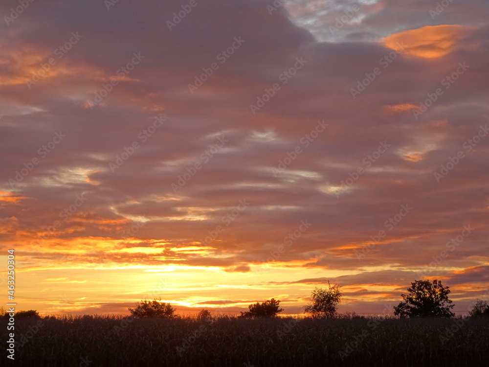 Obraz premium Red Clouds Sundset Corn Field