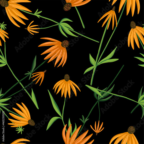 Gray headed coneflowers seamless pattern. Echinacea wildflowers colorful ornament. Botanical vintage design for fabric  textile  wallpaper  background  print  decor. Hand drawn vector illustration.