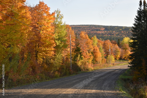 The lake road in autumn  Sainte-Apolline  Qu  bec  Canada