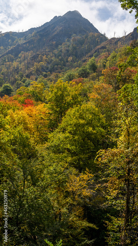 Smoky Mountains National Park, Tennessee, USA