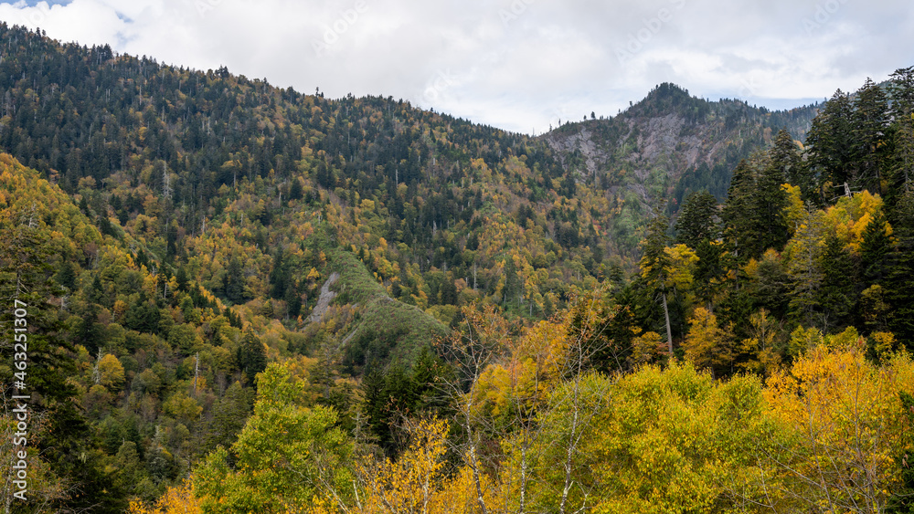 Smoky Mountains National Park, Tennessee, USA