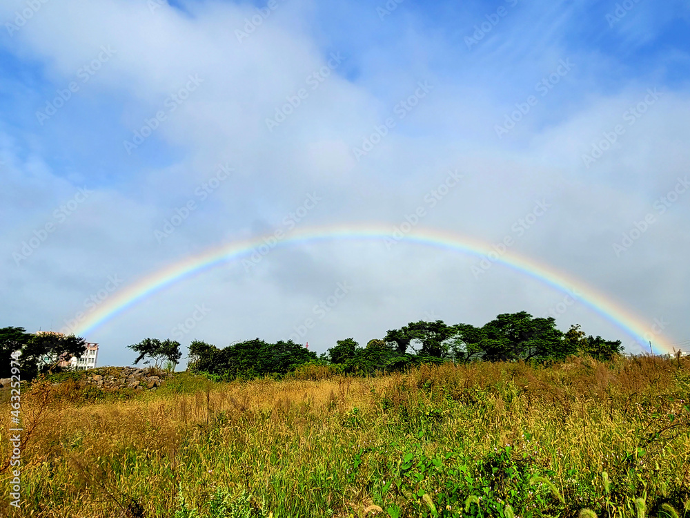 Naklejka premium rainbow, landscape, scenery, scene, view, A landscape with a rainbow