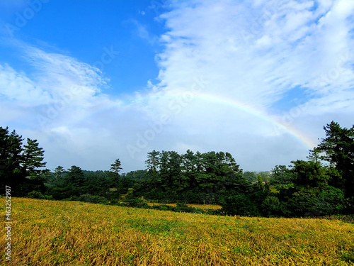 rainbow, landscape, scenery, scene, view, A landscape with a rainbow