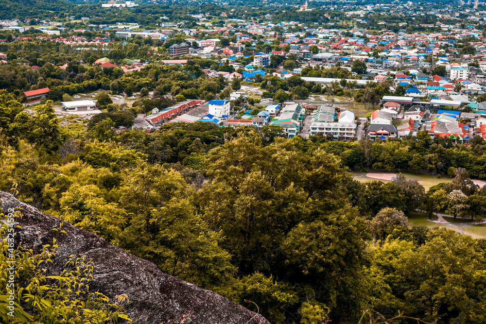 Obraz premium The view of the natural background of the mountain close-up, with blurred fog scattered in the rainy season or the humid climate, with beautiful green trees in the ecological system