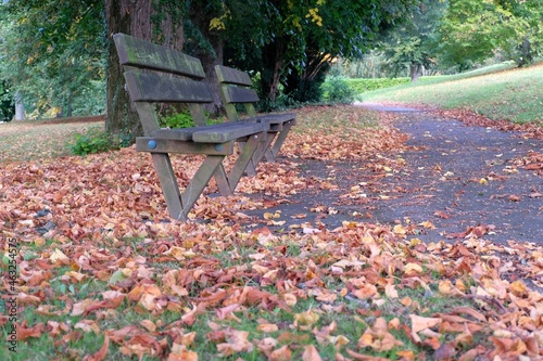 Jardin public avec des bancs et des feuilles mortes en automne photo