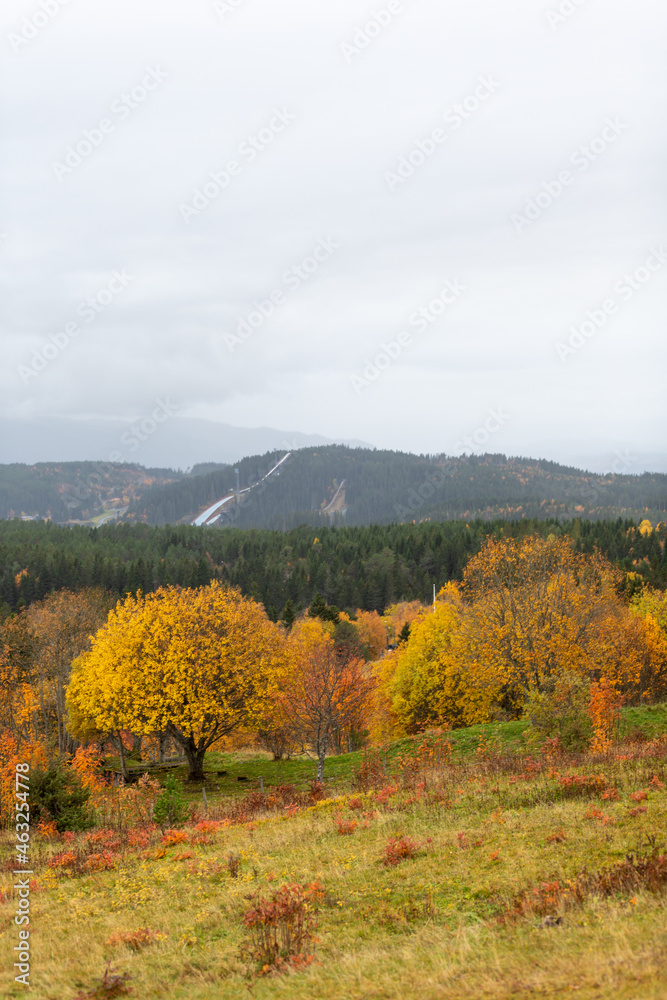 Scenic autumn view with colorful trees