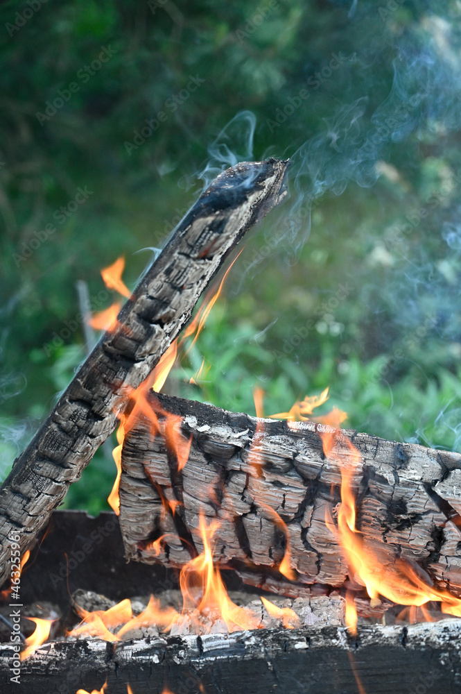 The fire fluttered into sleepy ash The fire fluttered into sleepy ash