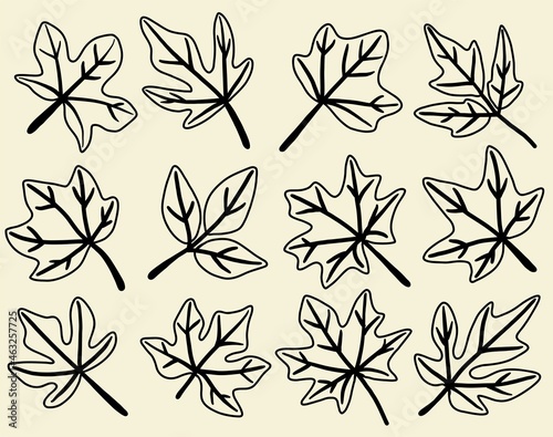 Collection of simplicity maple leaf freehand drawing flat design.