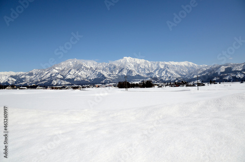 雪原と山