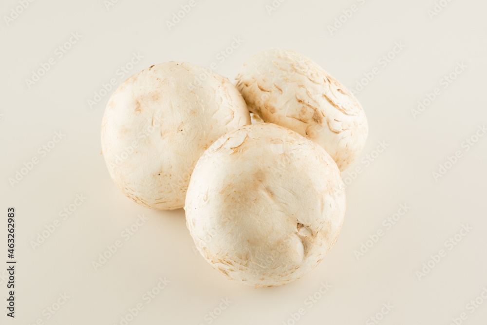 premium champignon mushrooms isolated