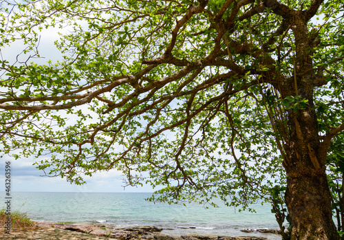 Fototapeta Naklejka Na Ścianę i Meble -  Beautiful blue sea on Phu Quoc Island, Vietnam