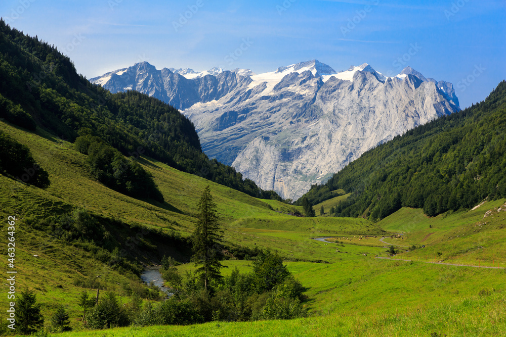 Landscape of Swiss Alps with wild trees, a stream and little snow on top of Alps