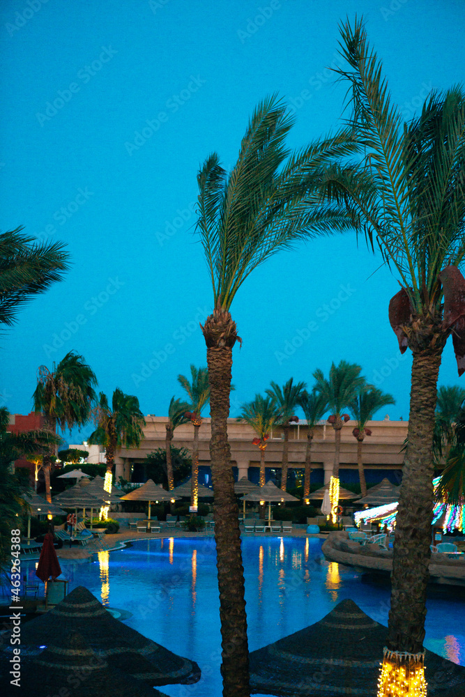 Obraz premium pool in the night