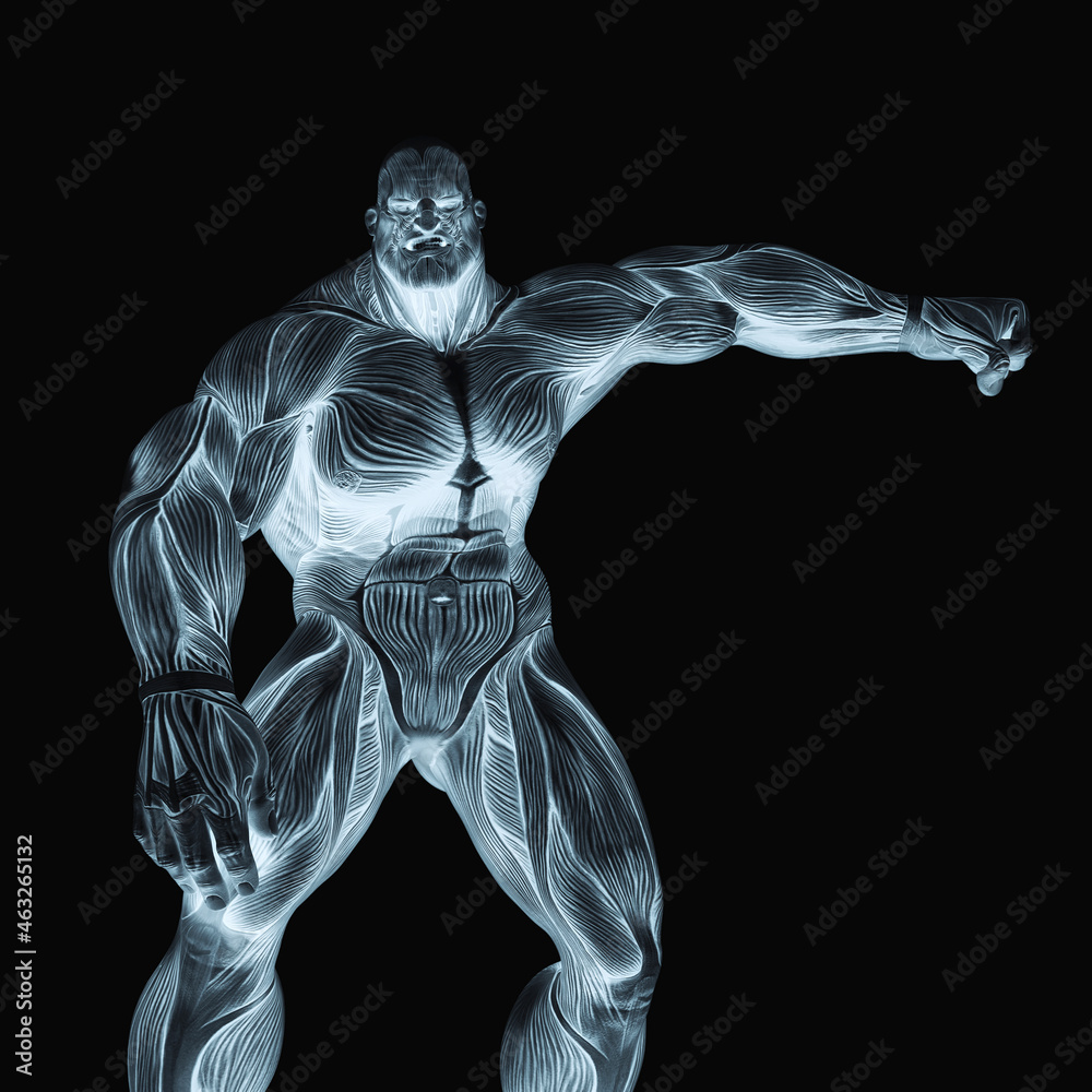 bodybuilder muscle maps is doing a side punch in white background