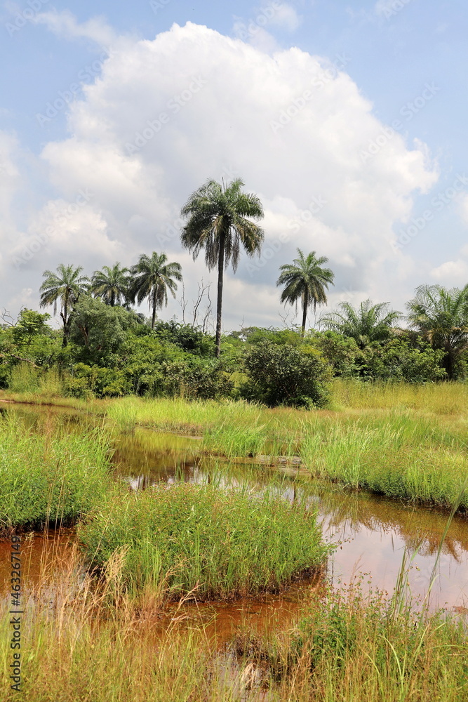 african landscape with river and trees african landscape with river and trees