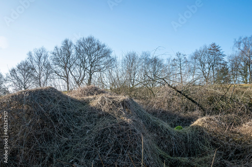bales in the field