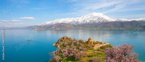 Obraz na płótnie ‘Armenian Holy Cross Cathedral’ surrounded by tree in blossom, in a middle of ‘Akdamar Island’ Akdamar Adasi, Lake Van, Turkey. w salonie