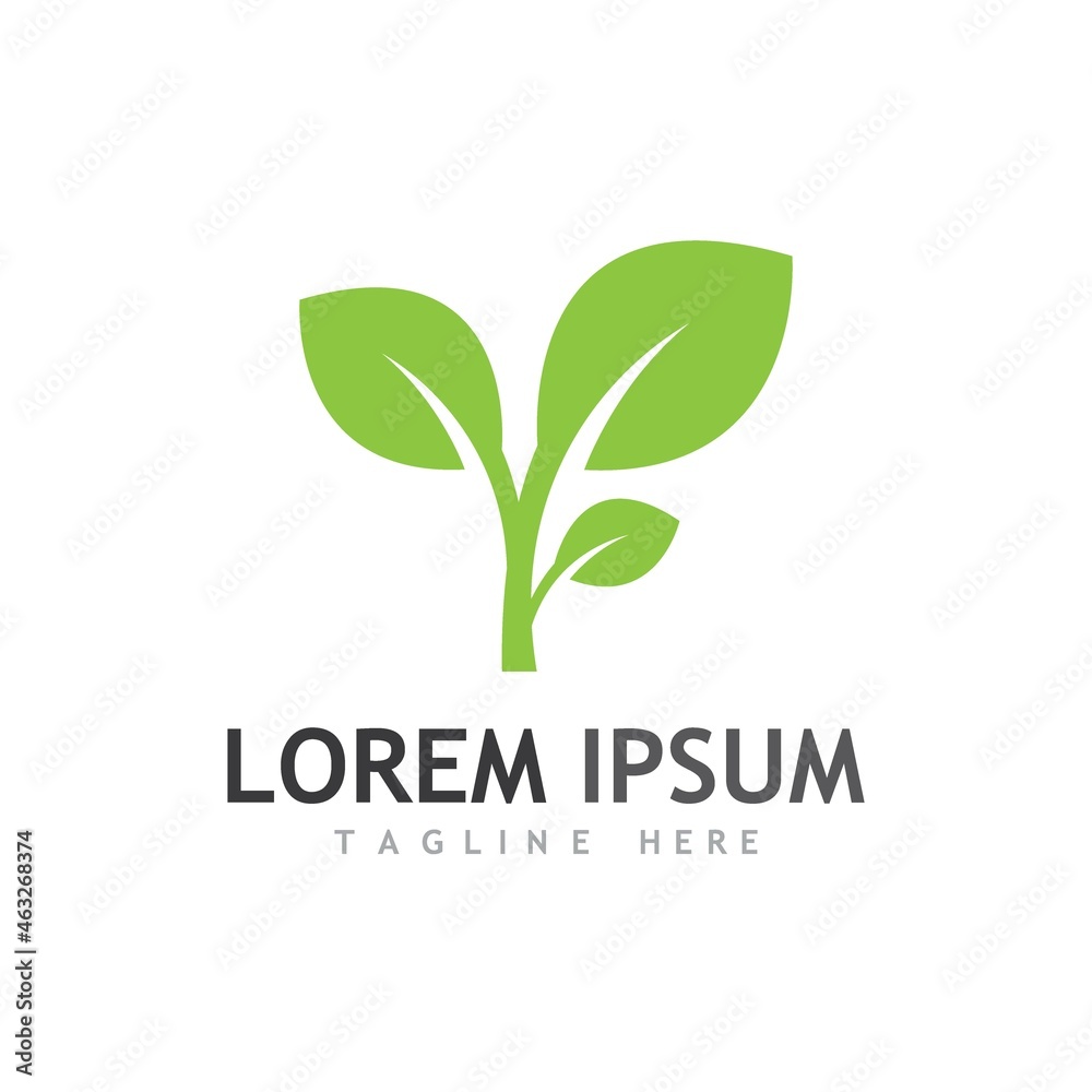leaf logo and vector images