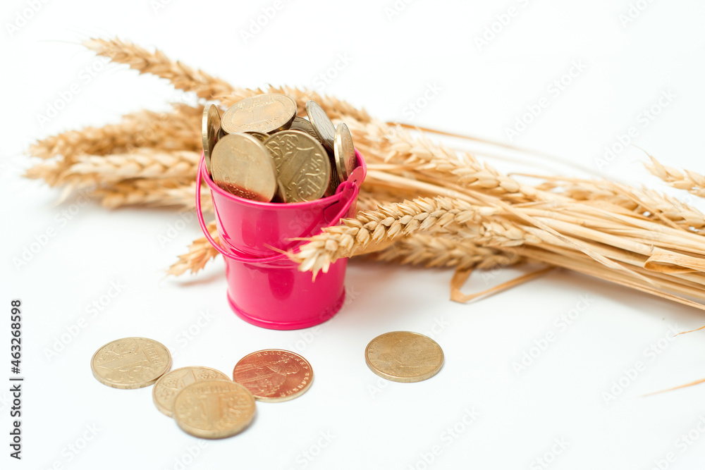 Harvest wheat, flour, sea corridor. Help African countries with grain