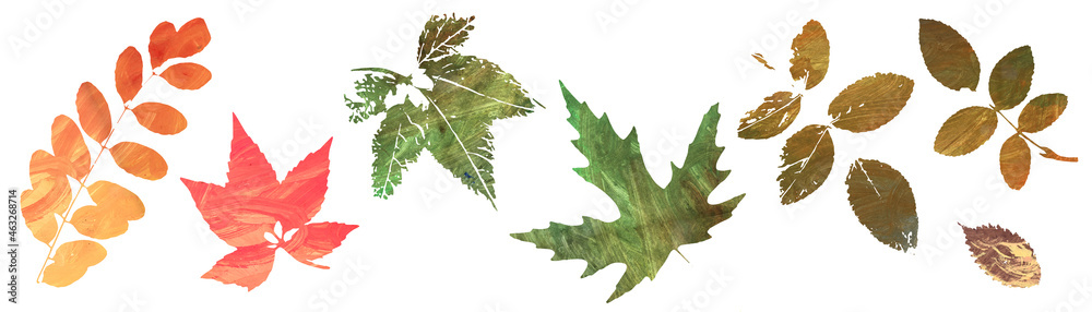 Obraz premium watercolor. set of autumn leaves. Isolated. white background.