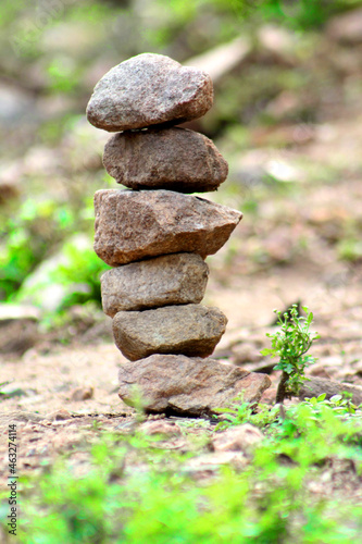 A pile of stones in the garden.