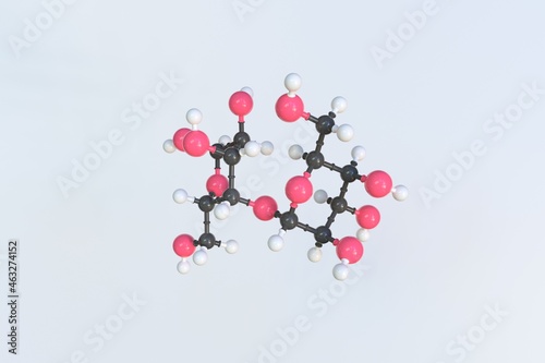 Maltose molecule made with balls, isolated molecular model. 3D rendering