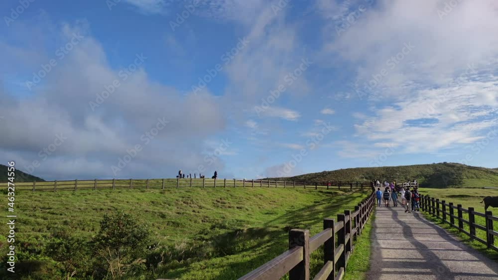 Qingtiangang, Taiwan-Oct 15, 2021: The natural source of alpine grasses is at Shangshan in Taipei City, Taipei City, Taiwan Qingtiangang, Taiwan-Oct 15, 2021: The natural source of alpine grasses is at Shangshan in Taipei City, Taipei City, Taiwan