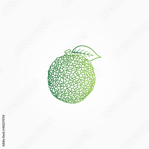 Osage orange