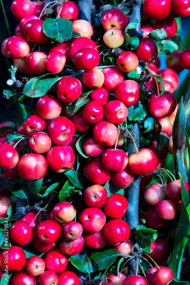 Obraz premium Herbst