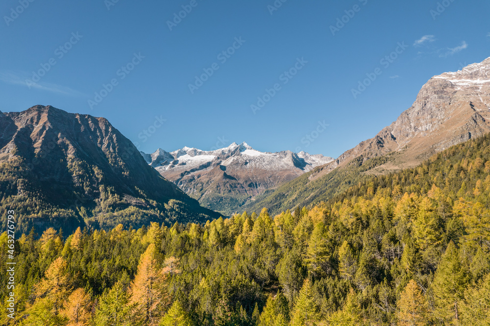 Mountain landscape. Forest in autumn and snow-capped mountains Mountain landscape. Forest in autumn and snow-capped mountains